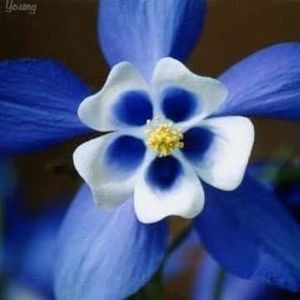 Meet your Posher, Vicki